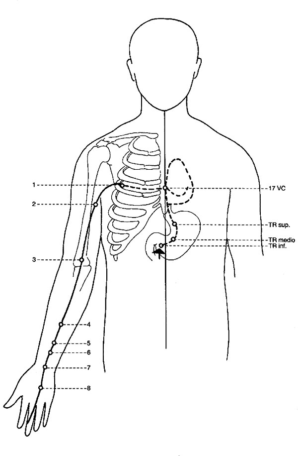 Le difese del Cuore imperatore