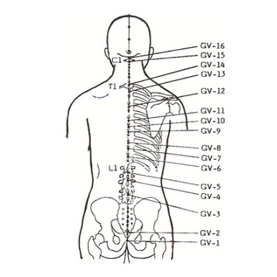The succession of Po in the  ladder of life