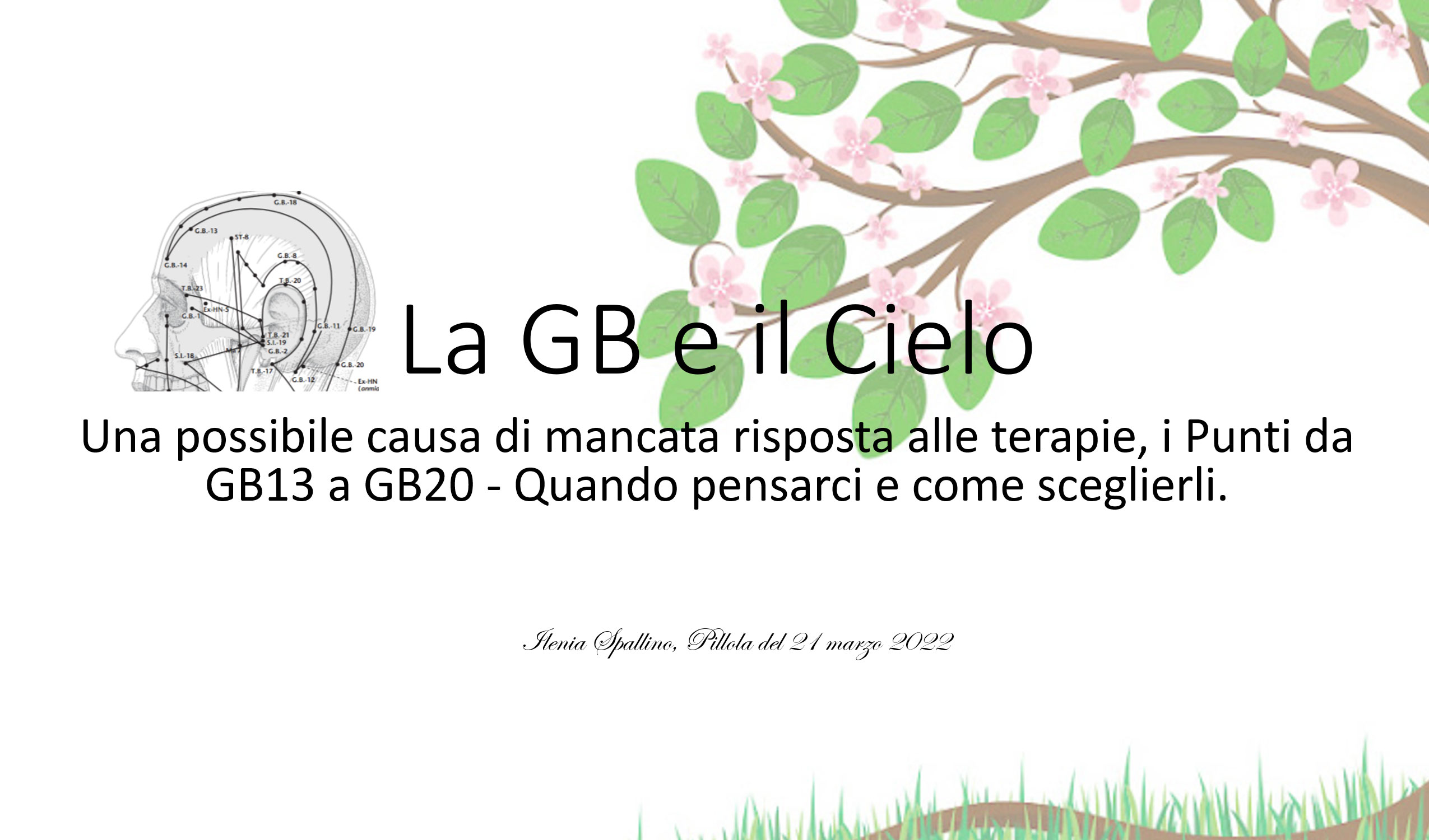 Pillole di Agopuntura: La GB e il Cielo