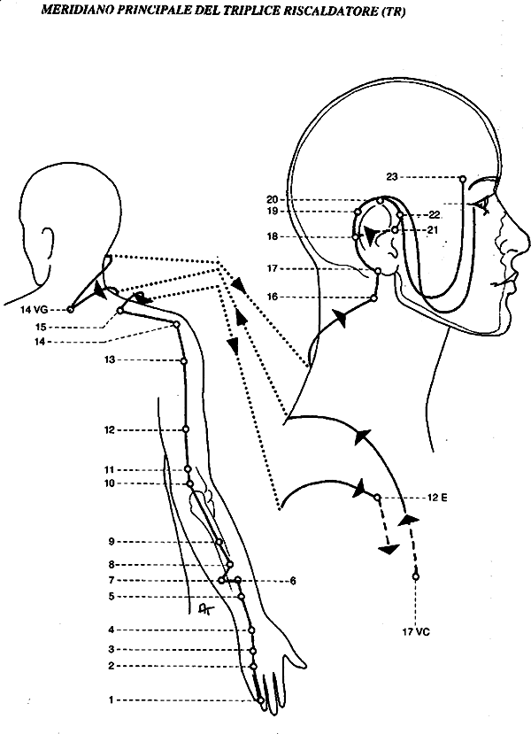 TE 3 (SJ 3) Zhong Zhu