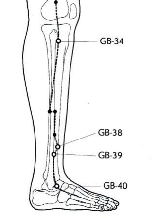 XI GUAN cancela de la rodilla