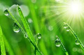 Esami di Laboratorio e Agopuntura