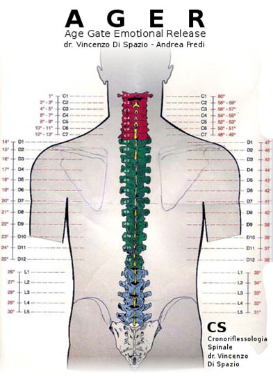 The progression of the disease and the concept of time